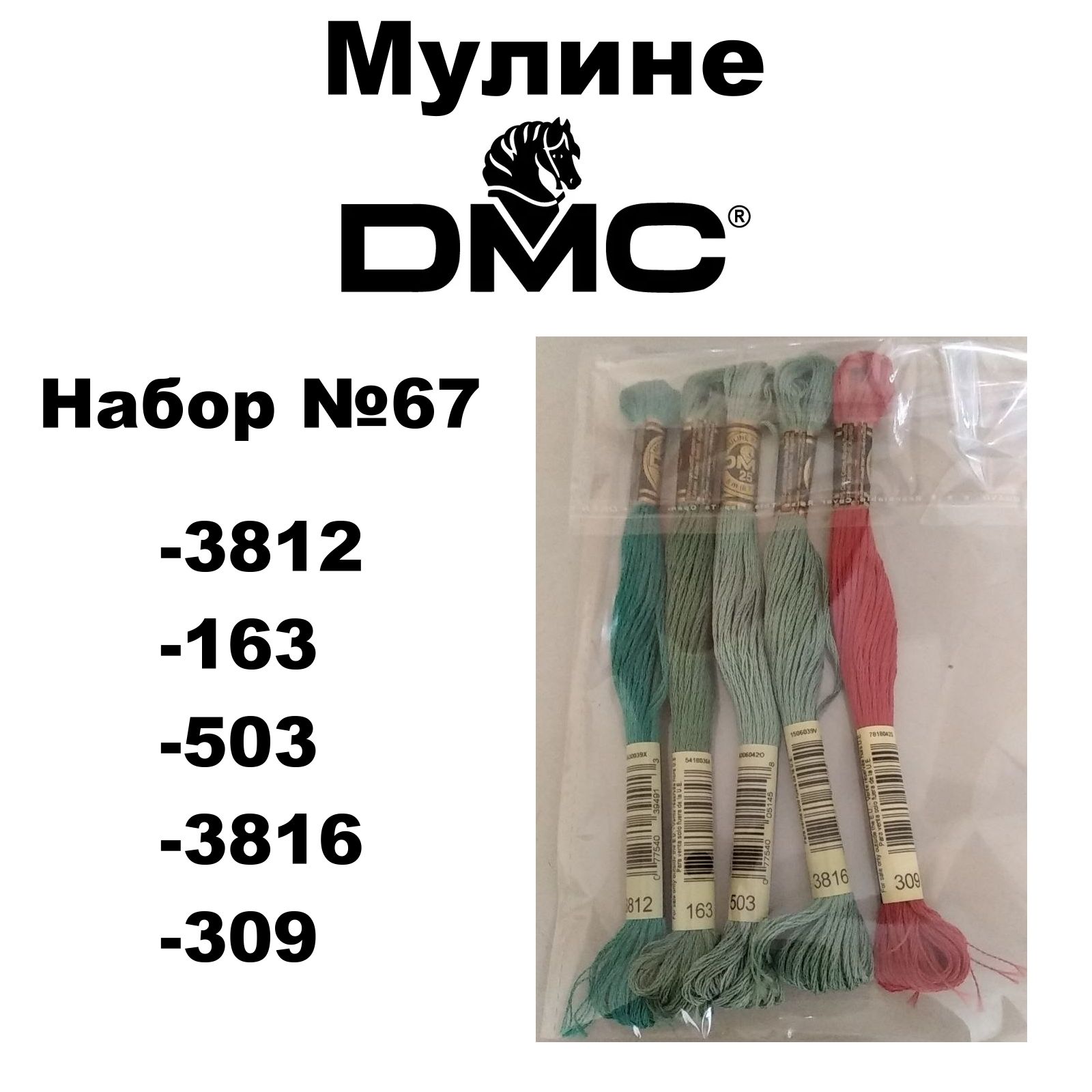 Нитки мулине DMC Embroidery для вышивания / Набор №67 / цвета 3812, 163,  503, 3816, 309 - купить с доставкой по выгодным ценам в интернет-магазине  OZON (1281079500)