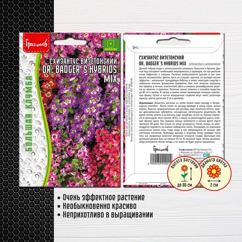 Схизантус Купить Семена В Партнере