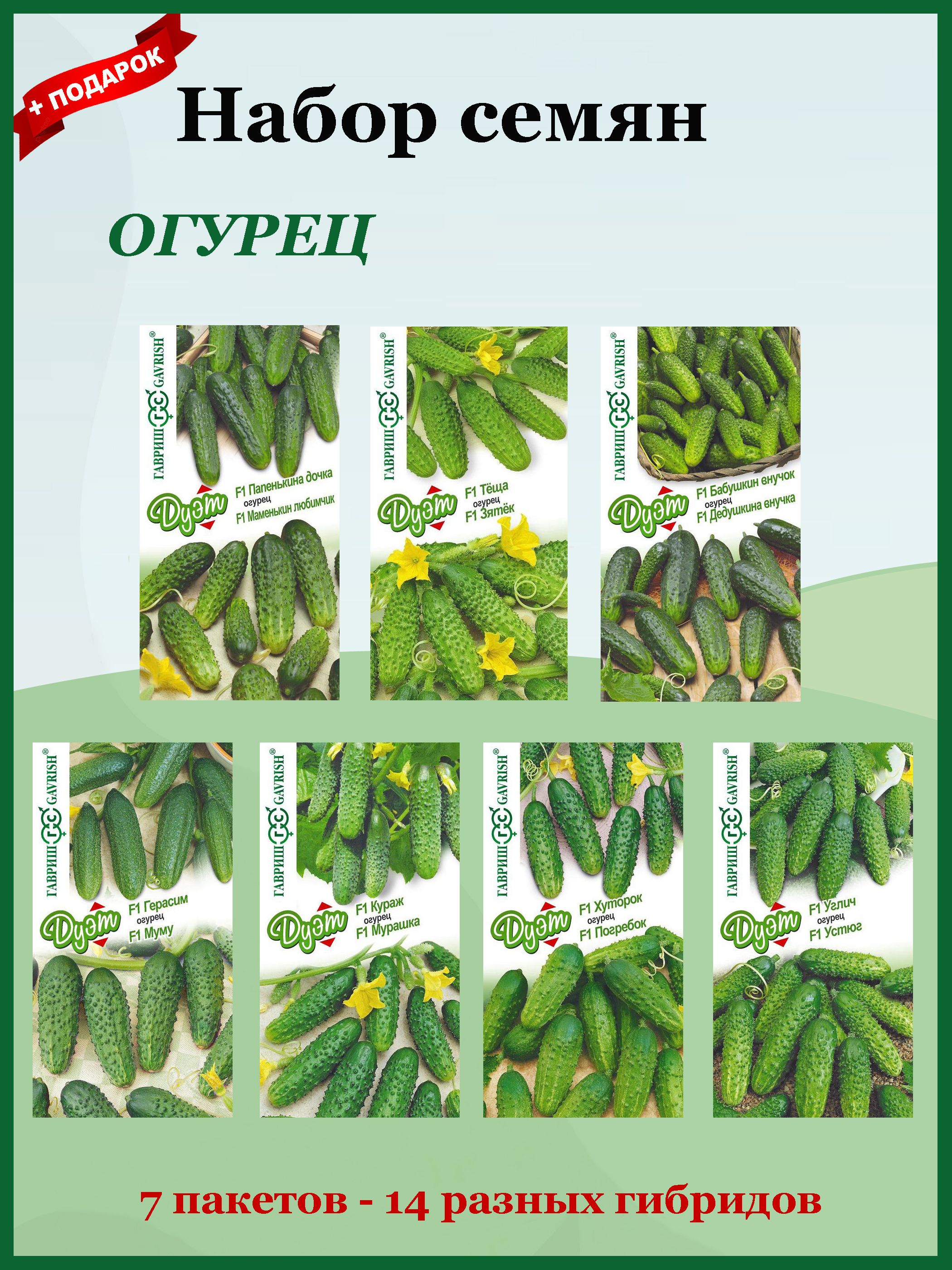 Семена Огурец Набор №1 Серия ДУЭТ 7 пакетов-14 гибридов (Гавриш)