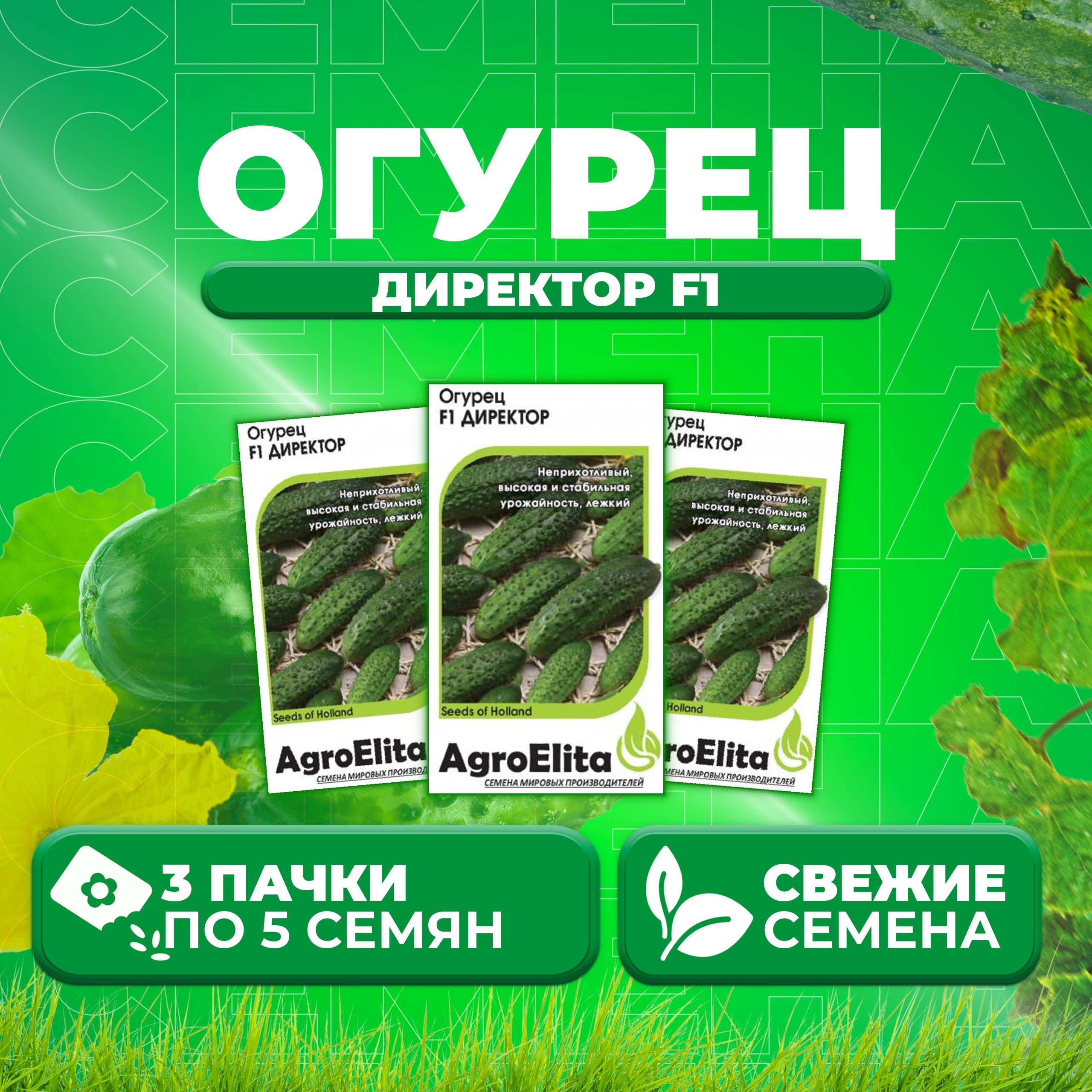 Купить Семена Огурцов Директор F1