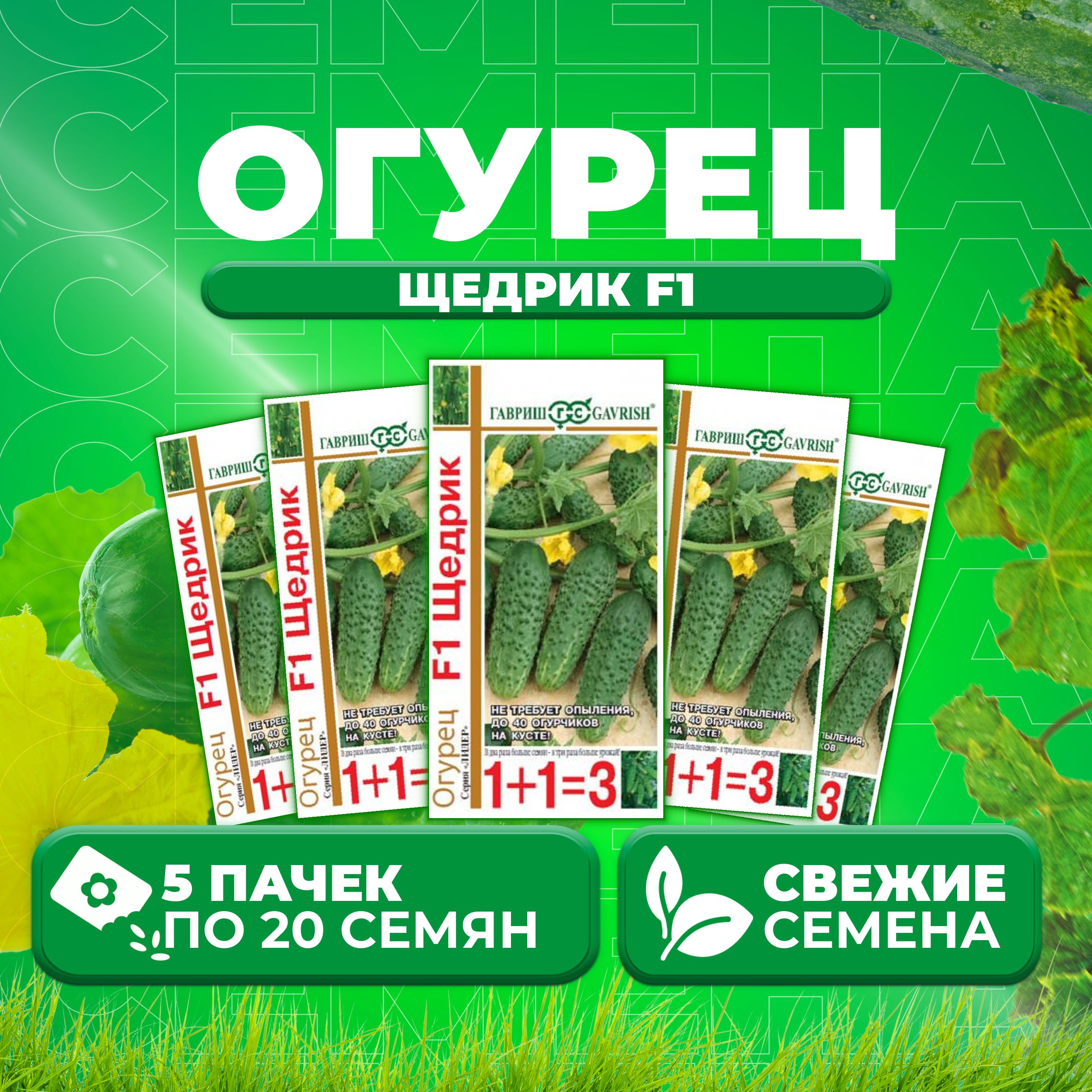 Огурцы Пикник Отзывы Фото