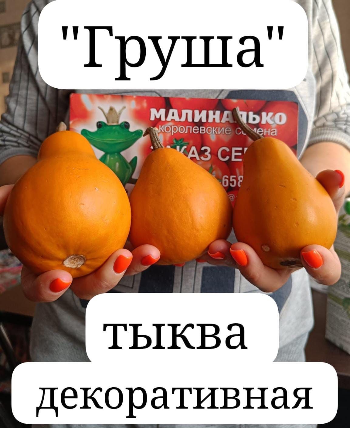 Осенняя поделка из тыквы