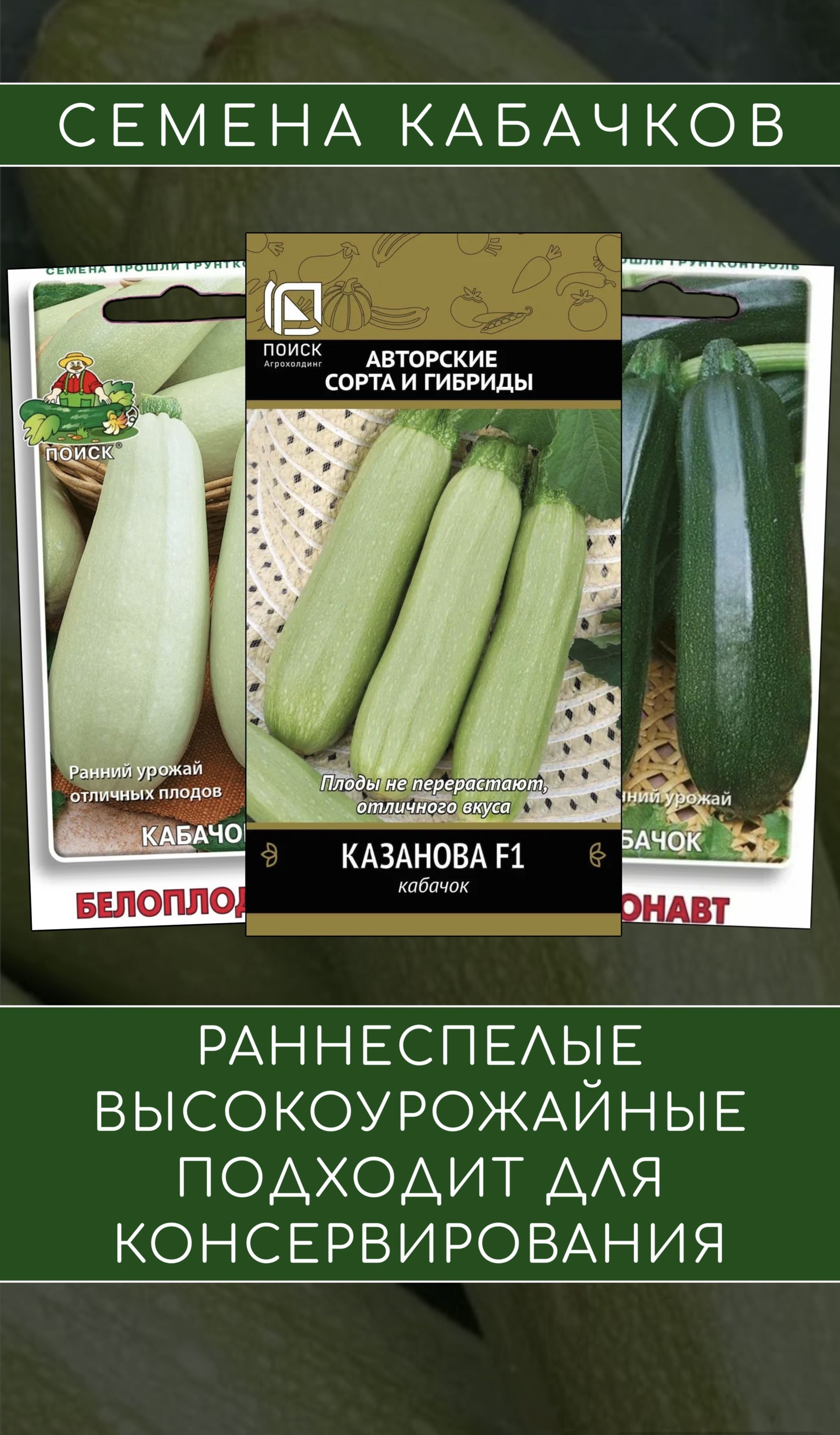 Кабачок Казанова: расцветка и форма плодов