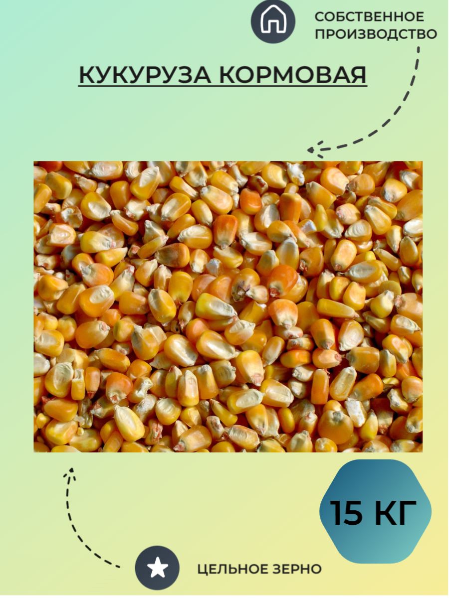 Семена Кормовой Кукурузы Купить
