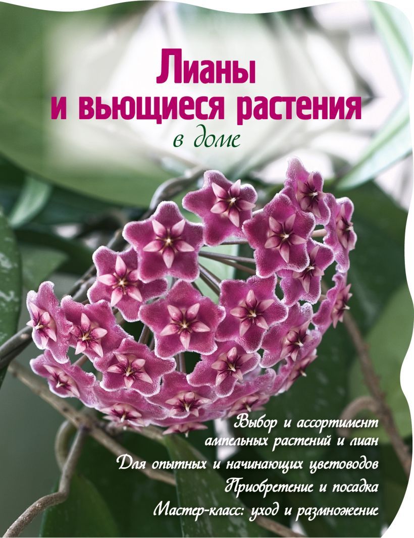 Лианы и вьющиеся растения в вашем доме. Брошюра 48с. | Попова Юлия  Геннадьевна - купить с доставкой по выгодным ценам в интернет-магазине OZON  (1383788136)