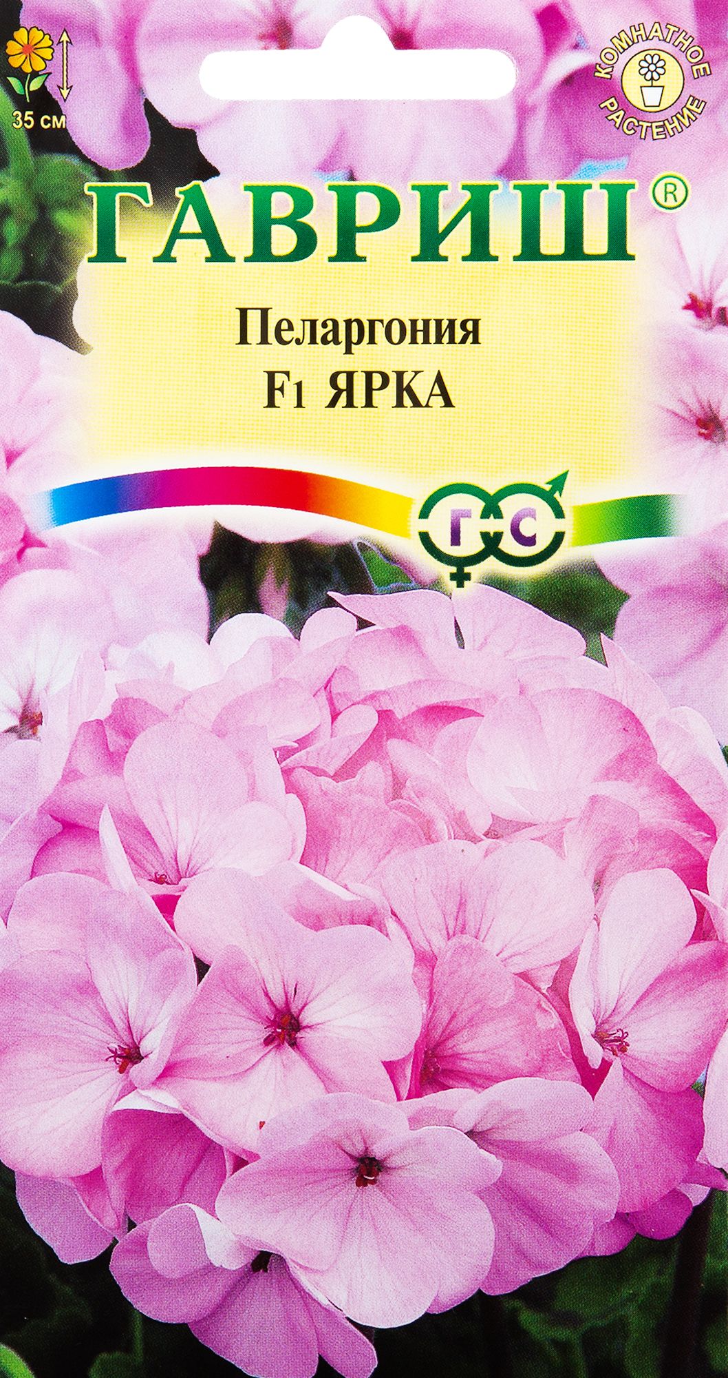 Пеларгония Зональная Купить В Горшке