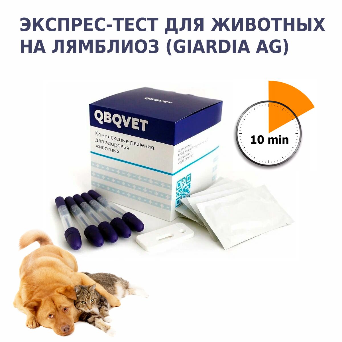 Экспресс-тест QBQVET на лямблиоз (Giardia Ag) для кошек, собак, 1шт