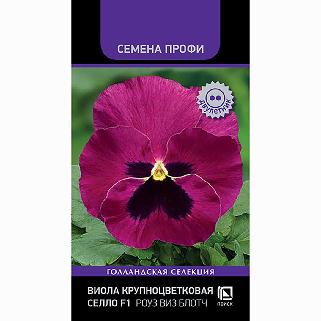 Семена Виолы Купить В Интернет Магазине