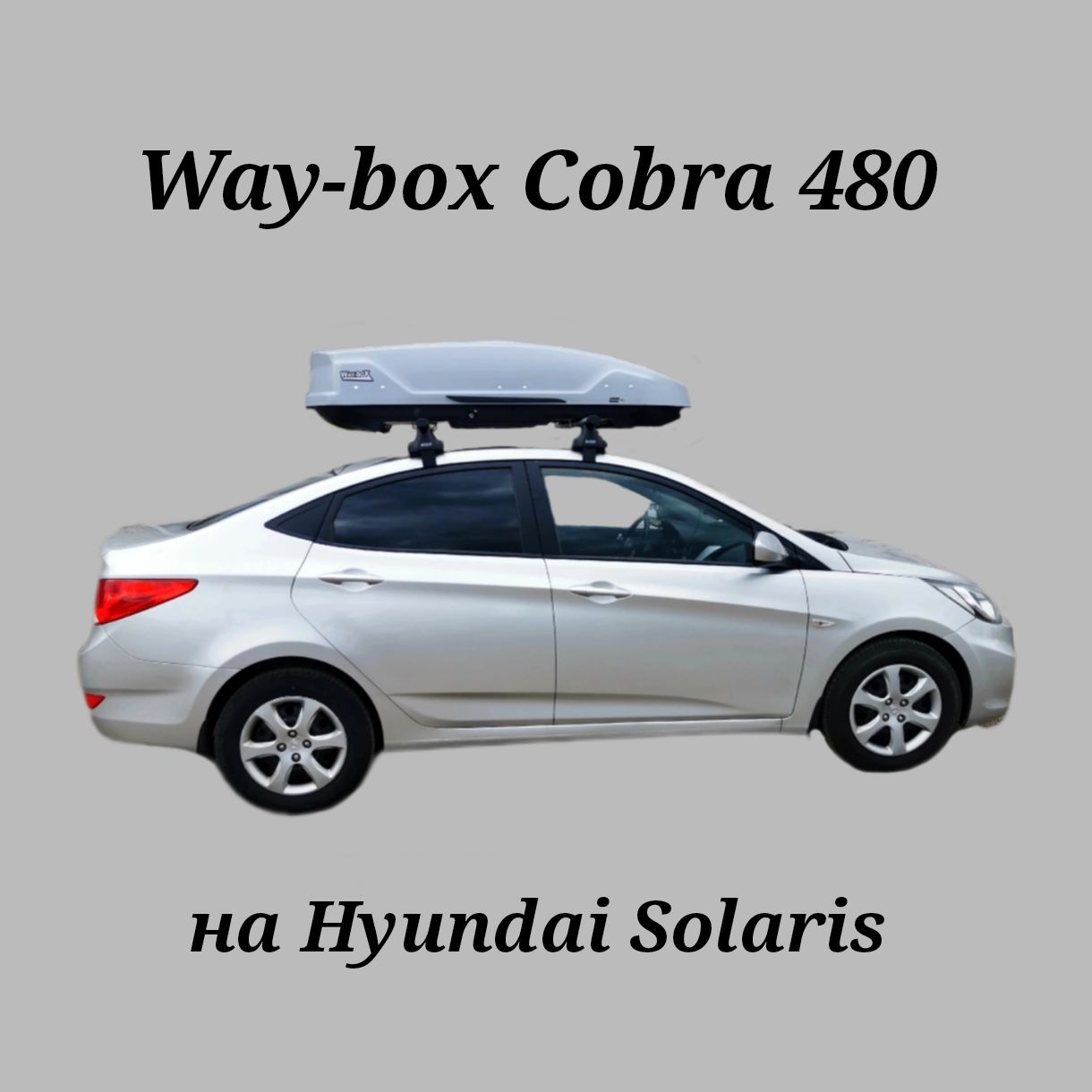 Way box cobra. Way box cobra