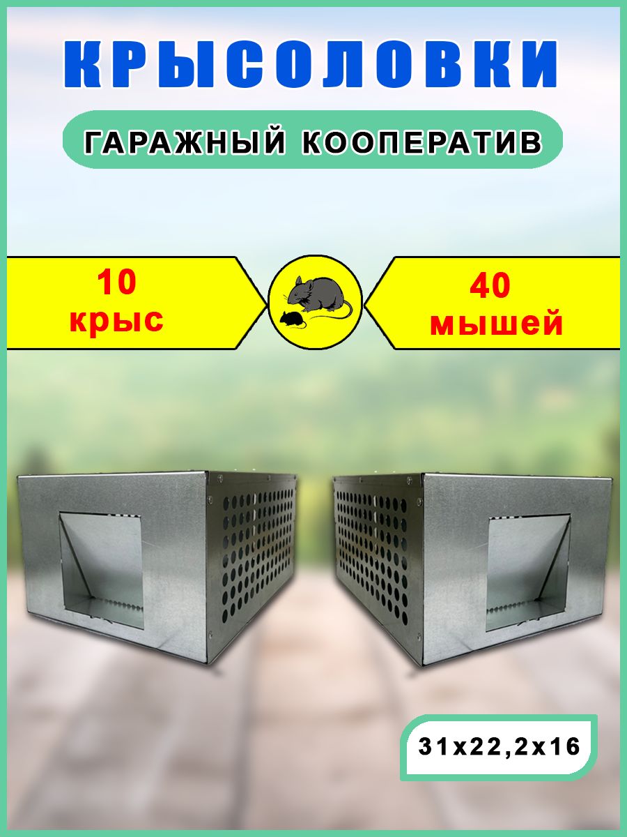 Крысоловка Гаражный кооператив на 10 крыс, 2 ловушки - купить с доставкой  по выгодным ценам в интернет-магазине OZON (1389466798)