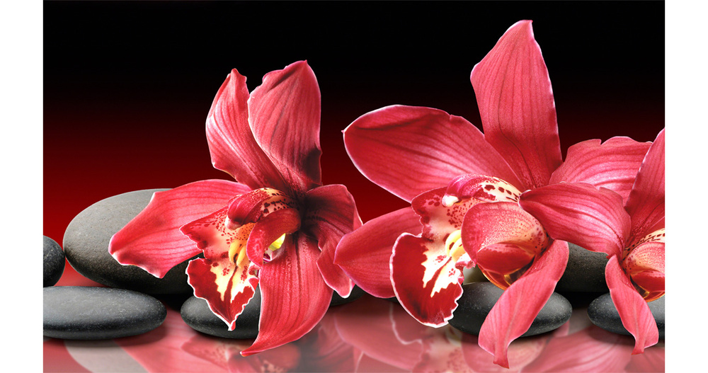 Кухонный фартук"Красные орхидеи на камнях 41" 1000*600мм, АБС пластик, фотопечать  #1