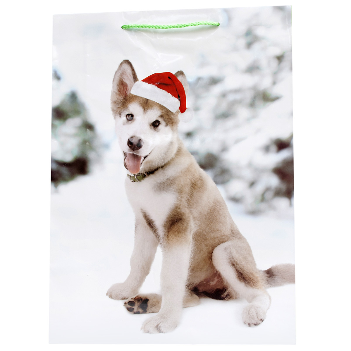 1 Новогодний Пес 1 Новогодний Пес