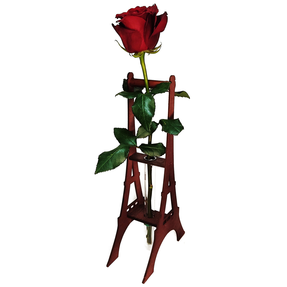 Роза Эйфелева Башня Фото