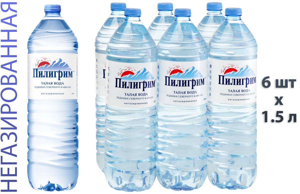 Вода питьевая Пилигрим негазированная / 6 шт. x 1.5 л — купить в ...
