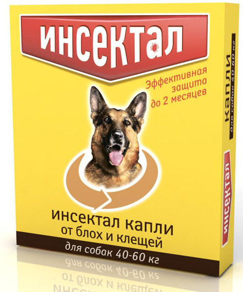 Капли от блох и клещей Инсектал для собак 40-60 кг 4,3 мл - купить с ...