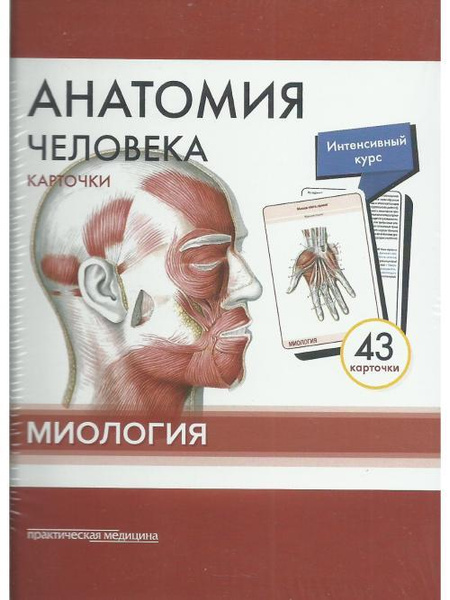Анатомия человека. Миология | Сапин Михаил Романович, Николенко ...