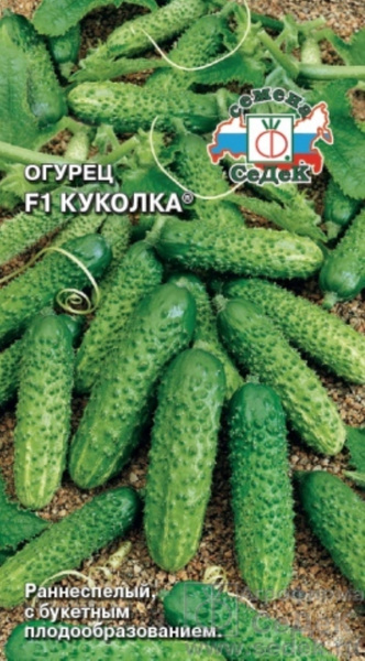 Огурец артист фото урожайность характеристика