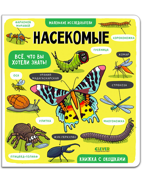 Книга с окошками. Насекомые / Книжки-картонки, детская книга ...