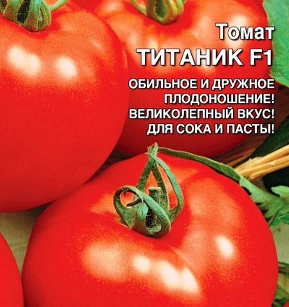 Томат Титан Отзывы Фото Урожайность