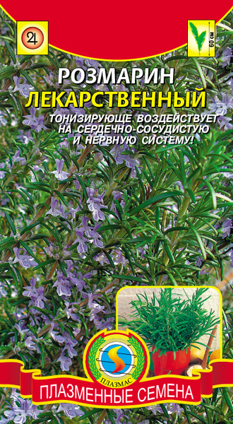 Розмарин Плазменные семена Розмарин Лекарственный ПС - купить по ...