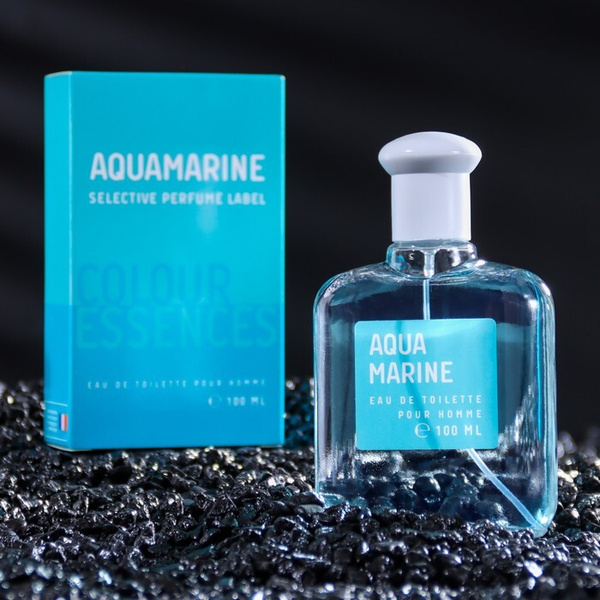 Today Parfum 9148598 Туалетная вода 100 мл (1424201569)