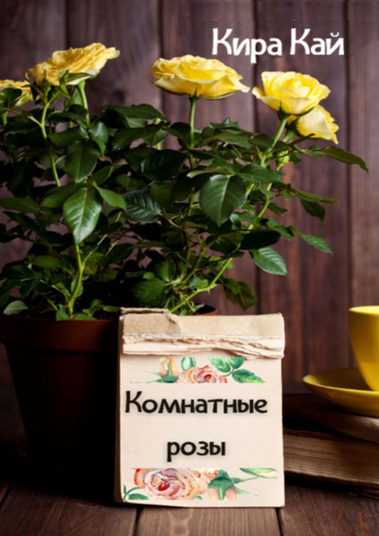 Комнатные розы - купить с доставкой по выгодным ценам в интернет ...