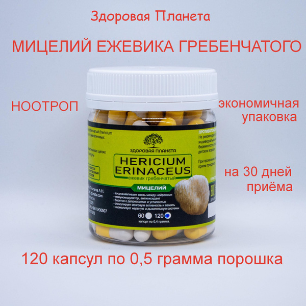 Ежевик (ежовик) гребенчатый мицелий 120 капсул - купить с доставкой по ...