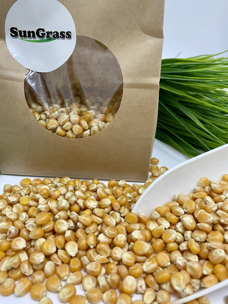 SunGrass / Зерно кукурузы для попкорна - 2 кг / Premium, бабочка купить ...