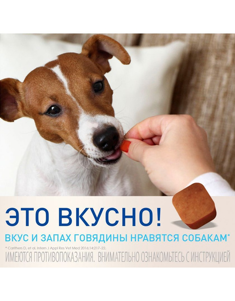 Фронтлайн НексгарД (M) для собак 4,1-10 кг, жевательная таблетка от ...