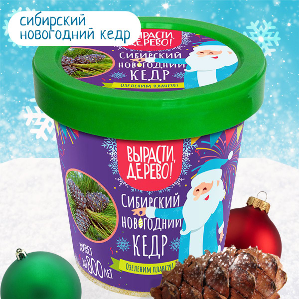Вырасти, Дерево! Набор для выращивания купить на OZON по низкой цене ...