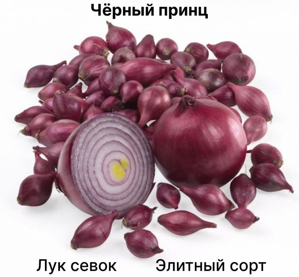 Лук севок на посадку красный " Черный принц " 500г купить на OZON по ...
