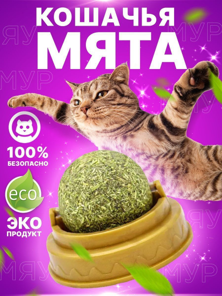 Кошачья мята/шарик с мятой для кошек - купить с доставкой по выгодным ...