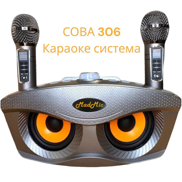 Портативная караоке система для дома "Сова" 306 Plus с двумя ...