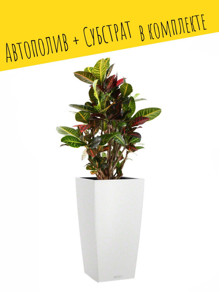 Lechuza Cubico Color maceta de 21 pulgadas de alto, Blanco Matte