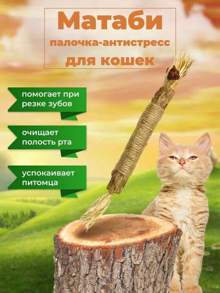 Характеристики Игрушка для кошек натуральная палка из дерева Мататаби ...