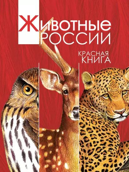 Рисунок как выглядит красная книга