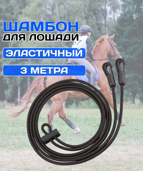 Новости конного спорта Maxima Equisport