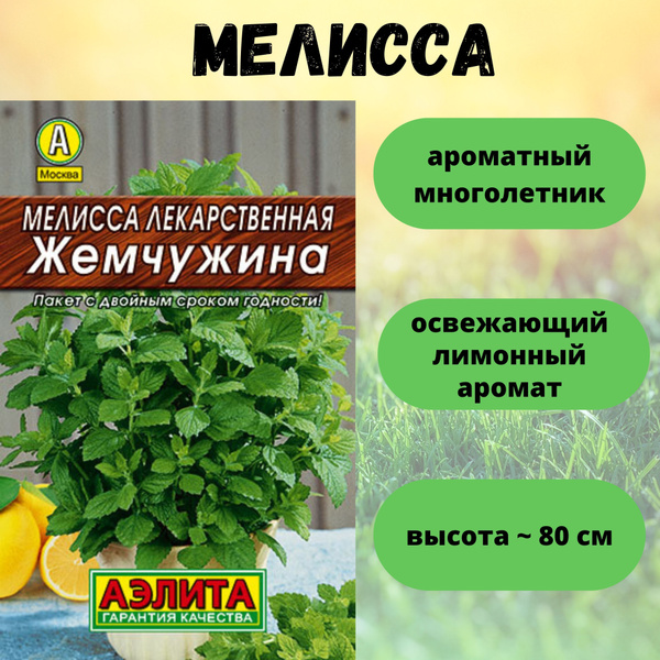 Мелисса Аэлита Базилик_фиолетовый_Базилик овощной Арарат - купить по ...