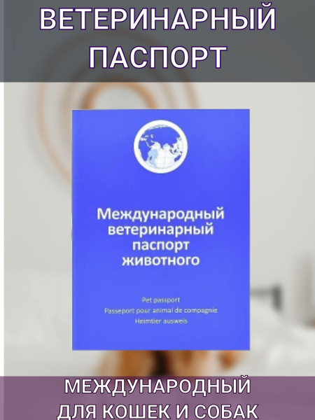 Паспорт ветеринарный для кошек и собак - купить с доставкой по выгодным ...