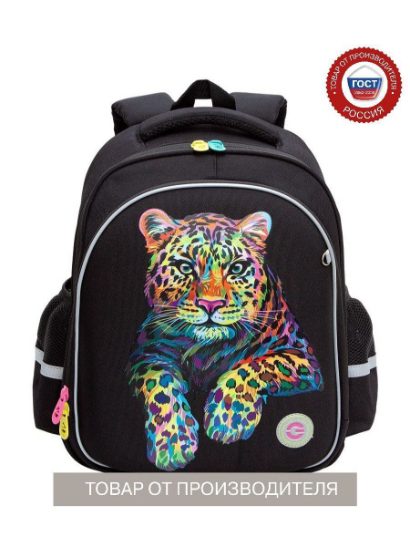 Ранец школьный для девочки с ортопедической спинкой GRIZZLY / портфель ...