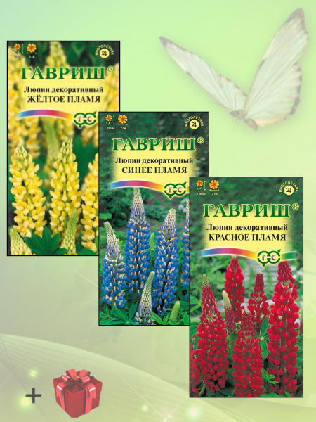 Люпины многолетние Мой Урожай Люпин_4_желтый_синий_красный - купить по ...