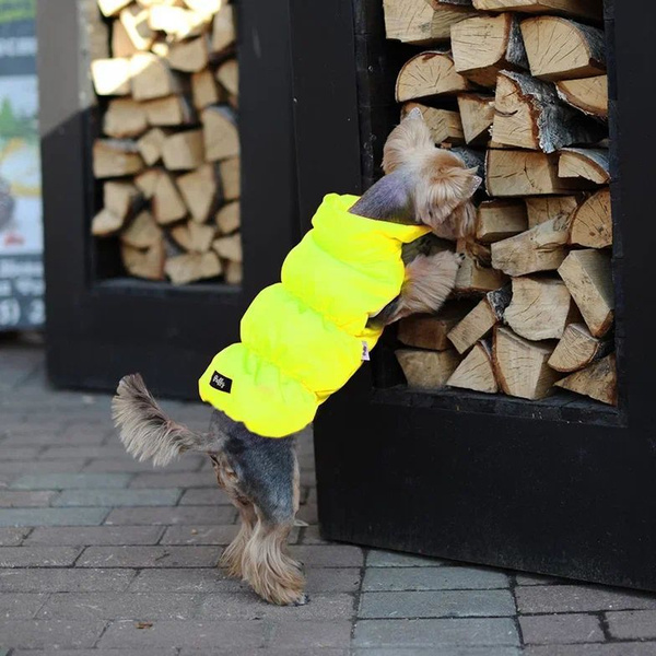 Жилетка для собак утепленная с подкладом на шелке, водоотталкивающая ...