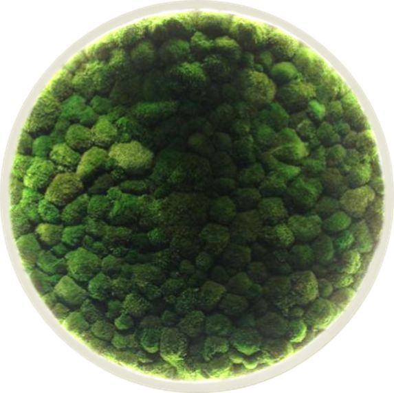 Круглое панно для интерьера GardenGo "Картина №25" из ...