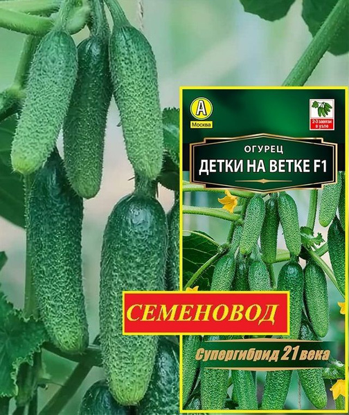 Огурцы Аэлита Огурец._._Детки на ветке - купить по выгодным ценам в ...