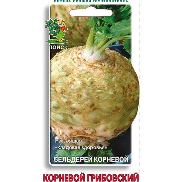 Корень Сельдерея Купить В Аптеке