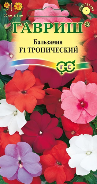Бальзамины однолетние, Бальзамины комнатные Гавриш Бальзамин ...