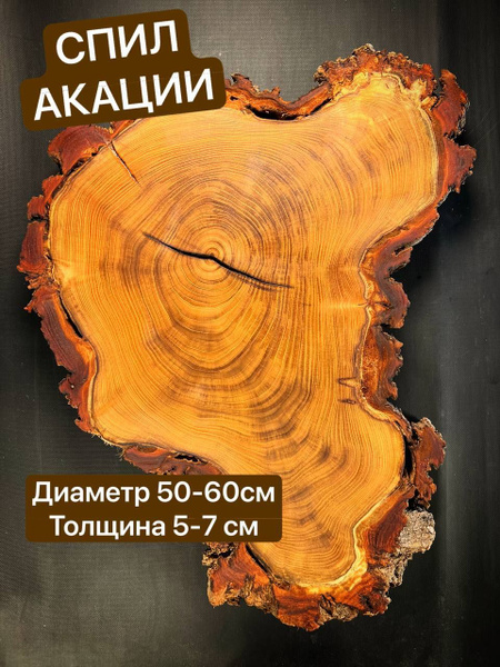 Слэб спил дерева Акации 50-60см 1шт - купить с доставкой по выгодным ...