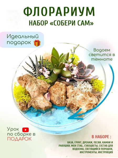 VETKI Флорариум/Клошариум - купить с доставкой по выгодным ценам в ...