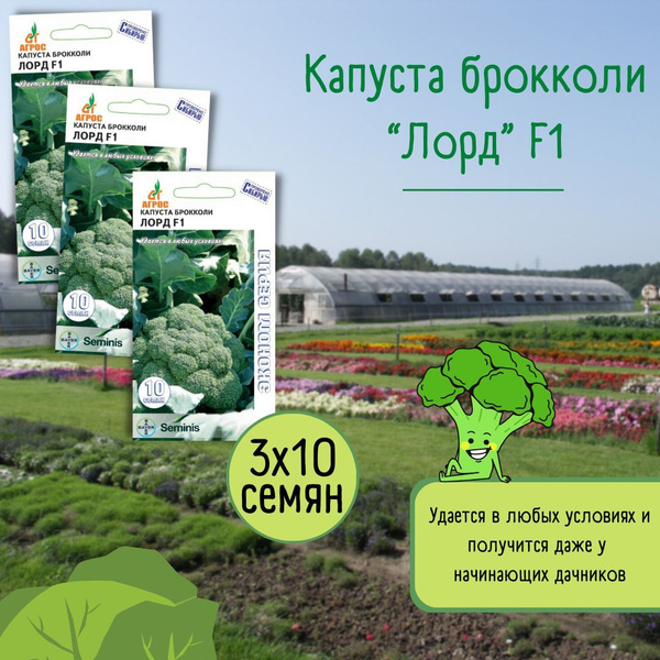 Капуста Агрос Капуста брокколи Лорд F1 - купить по выгодным ценам в ...