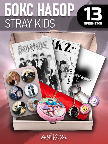 Бокс Stray Kids подарочный набор Значки Стрей Кидс - купить с доставкой ...